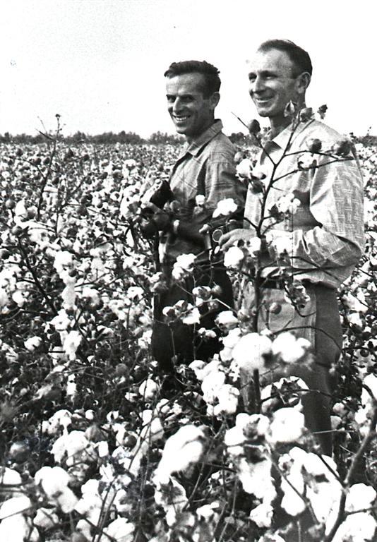זרובבל ארבל (מימין) וחבר בשדה כותנה
