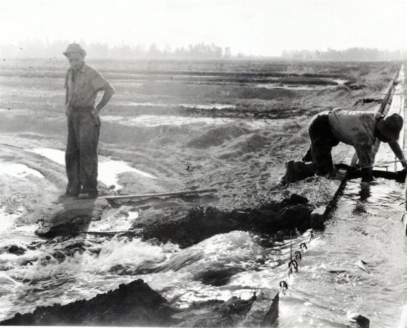 אבשלום (כורע מימין) בתעלת השקייה
